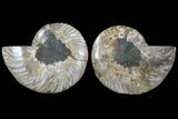 Cut & Polished Ammonite Fossil - Agatized #78553-1